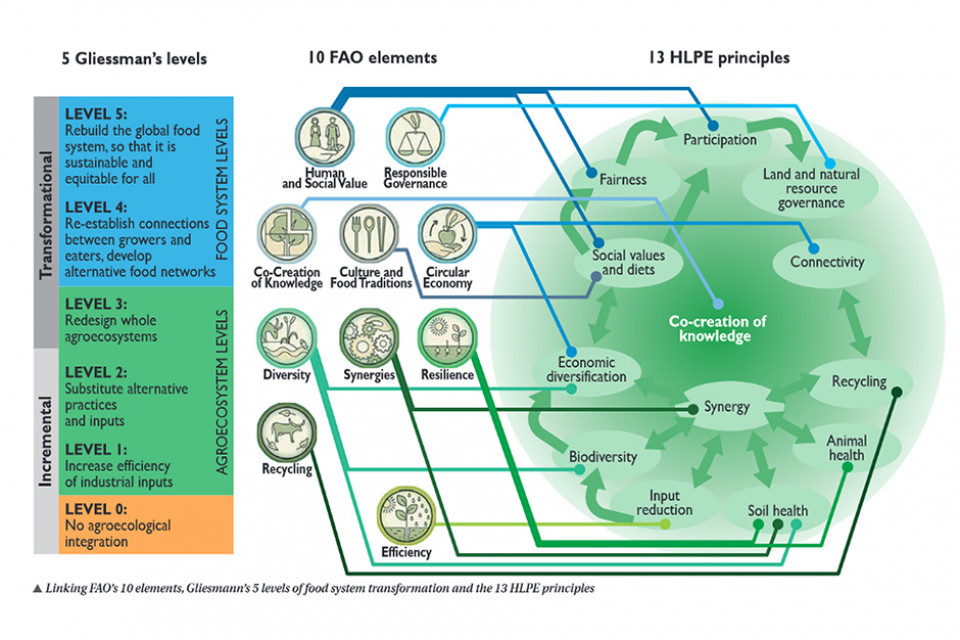 Schematic descibing the concepts of agroecology