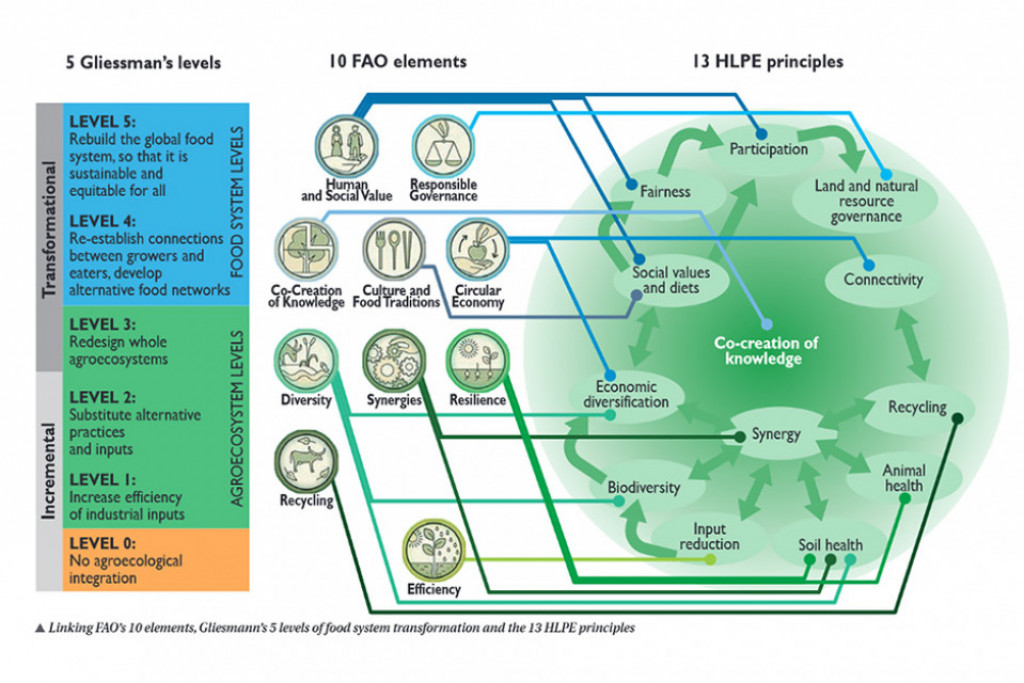 Agroecology-TRANSECT