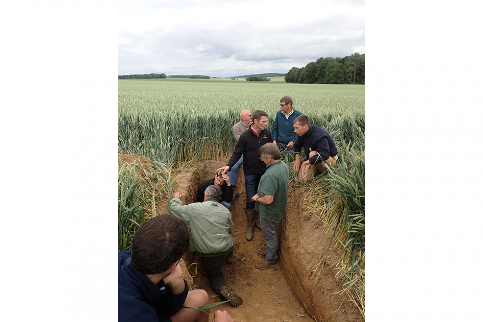 Network meeting on the soil profile of a crop